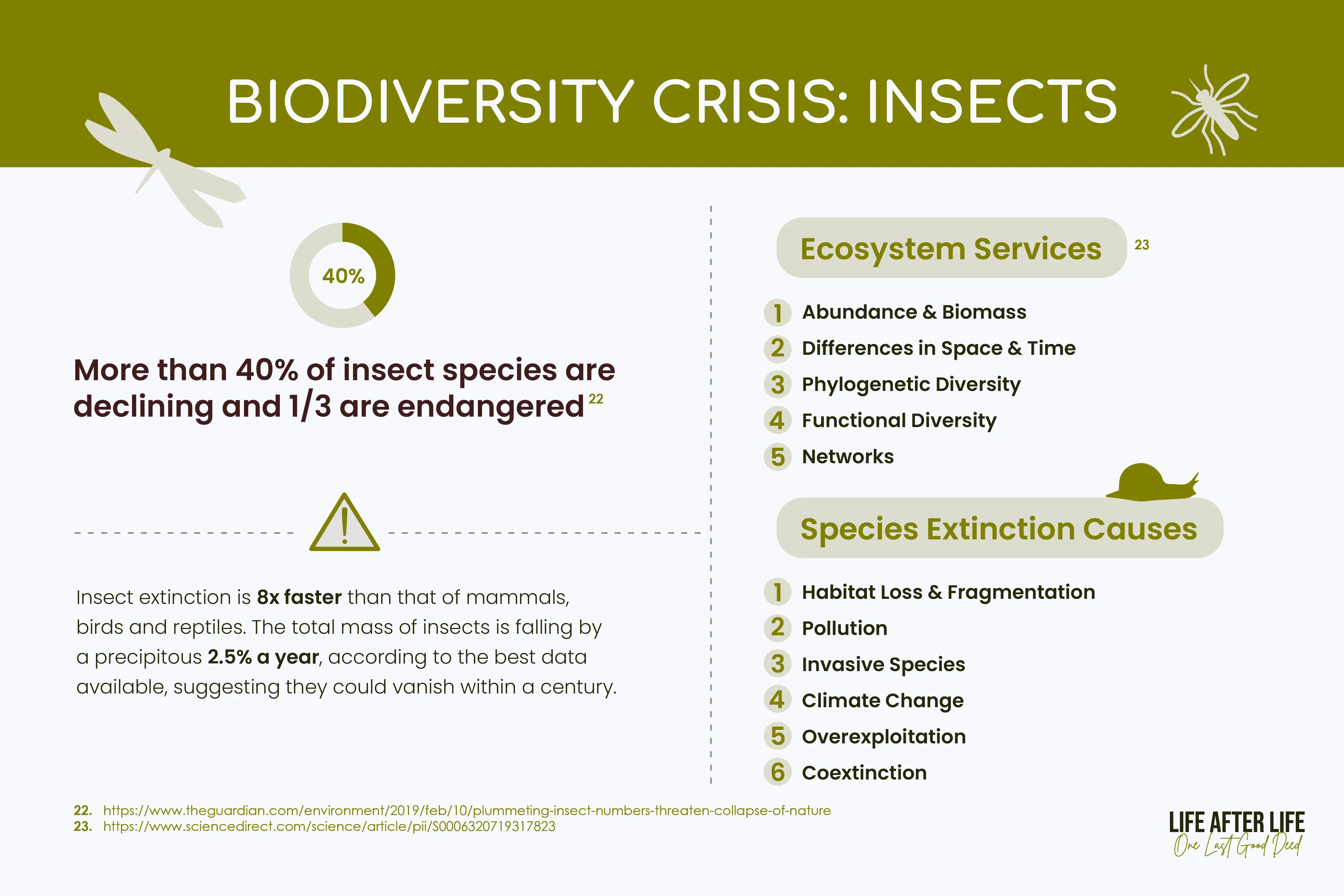 Insect Crisis & Ecosystem Impact: Slide highlights rapid insect extinction, ecosystem services, species decline causes, and diversity factors.