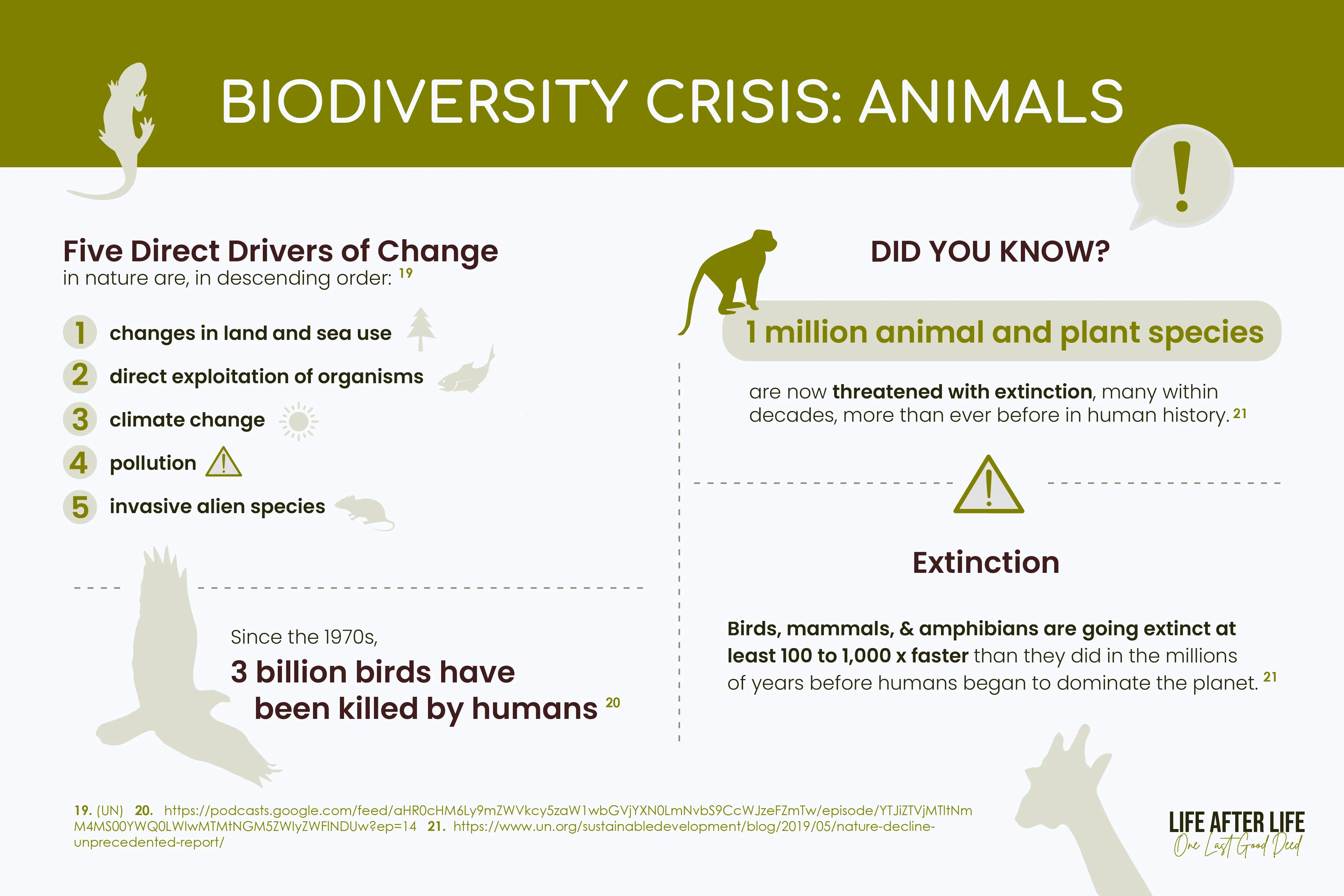 Nature's Dire Shift: 5 Drivers Impacting Wildlife, Pushing Animals to Brink of Extinction - Slide reveals urgent need for conservation.