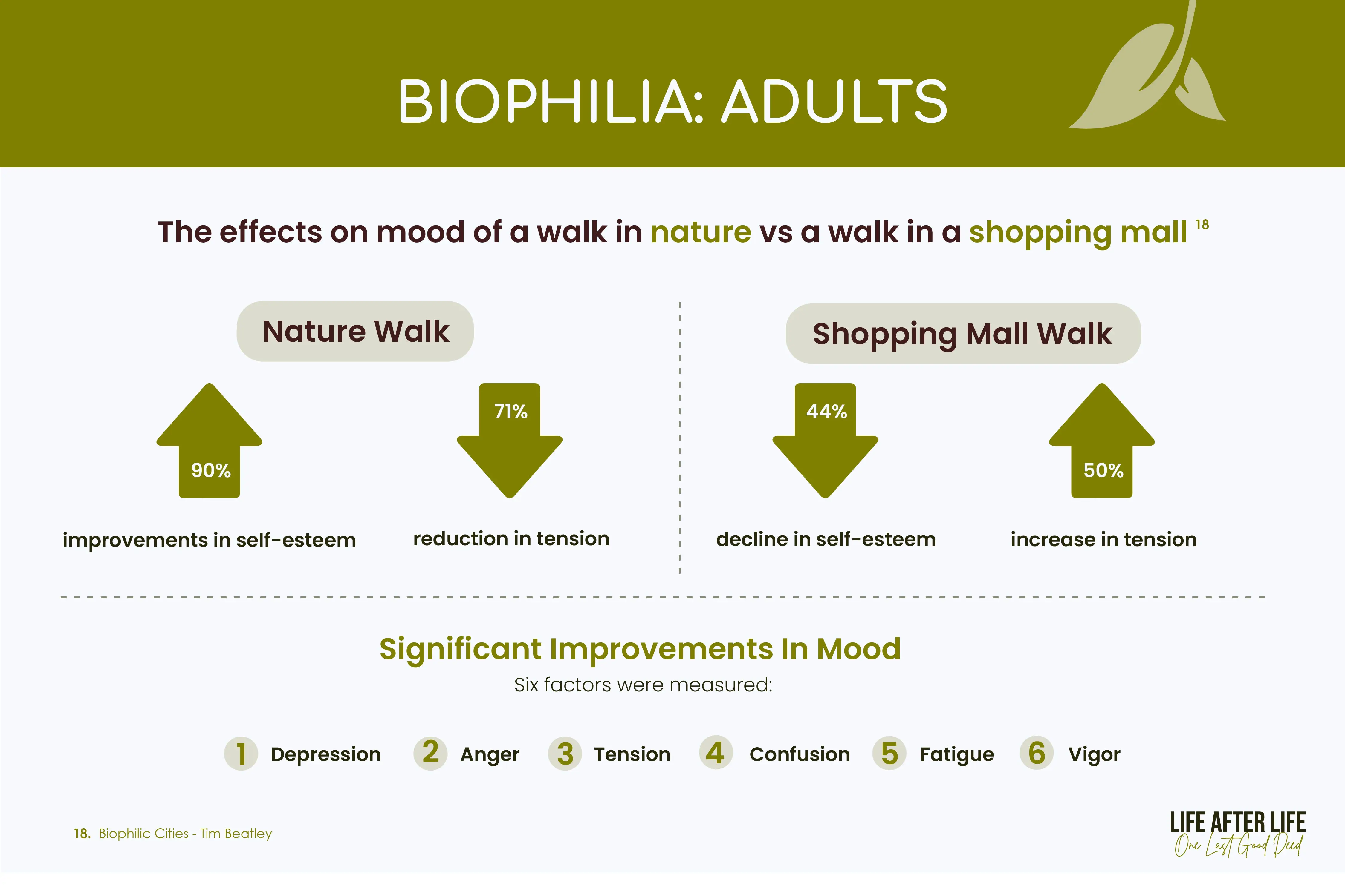 Nature vs. Mall Walk Impact: Slide contrasts mood effects, revealing significant improvements in self-esteem, tension reduction, and mood enhancement.