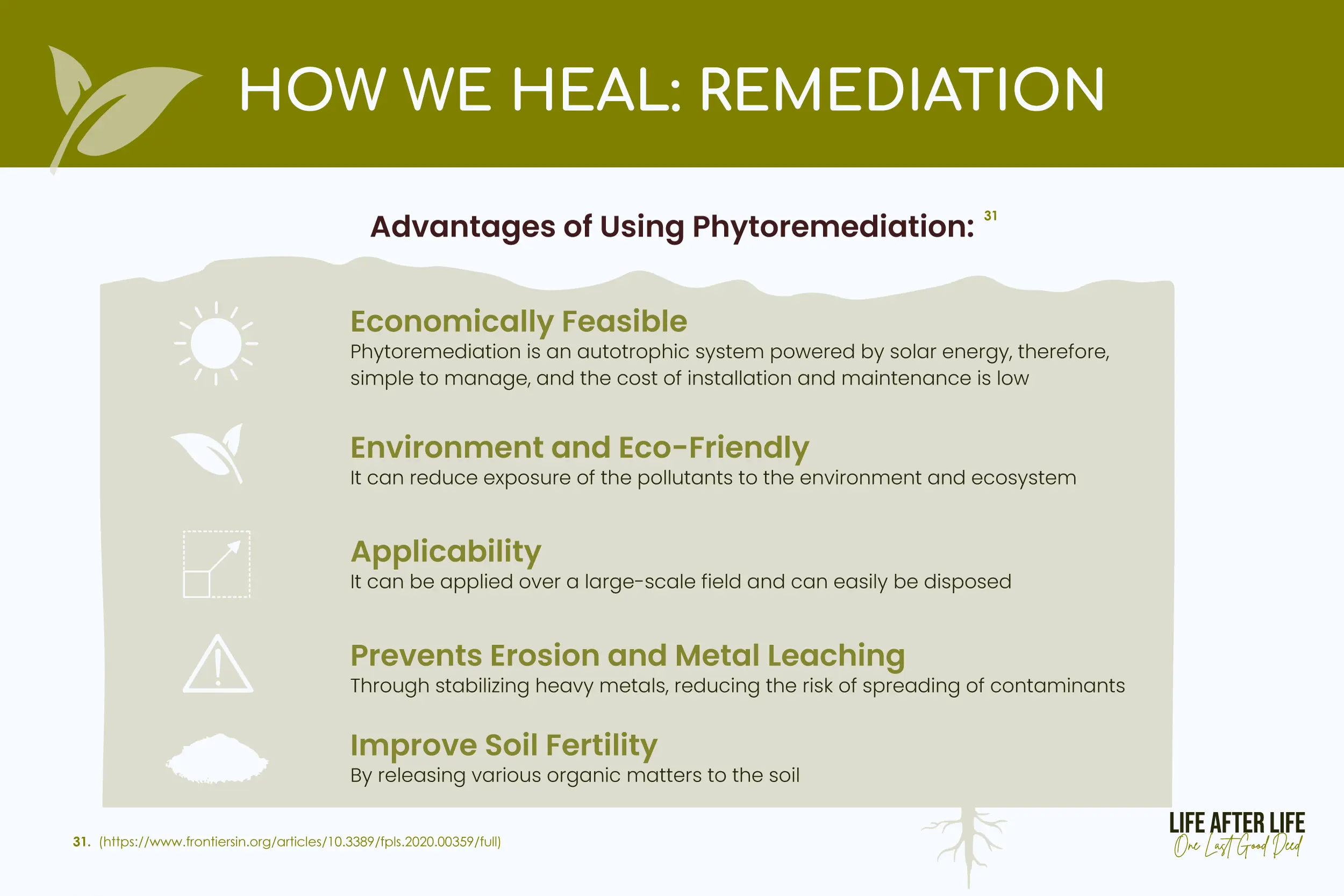 Phytoremediation Benefits: Cost-effective, eco-friendly, scalable, erosion prevention, improved soil fertility - a holistic pollution solution.